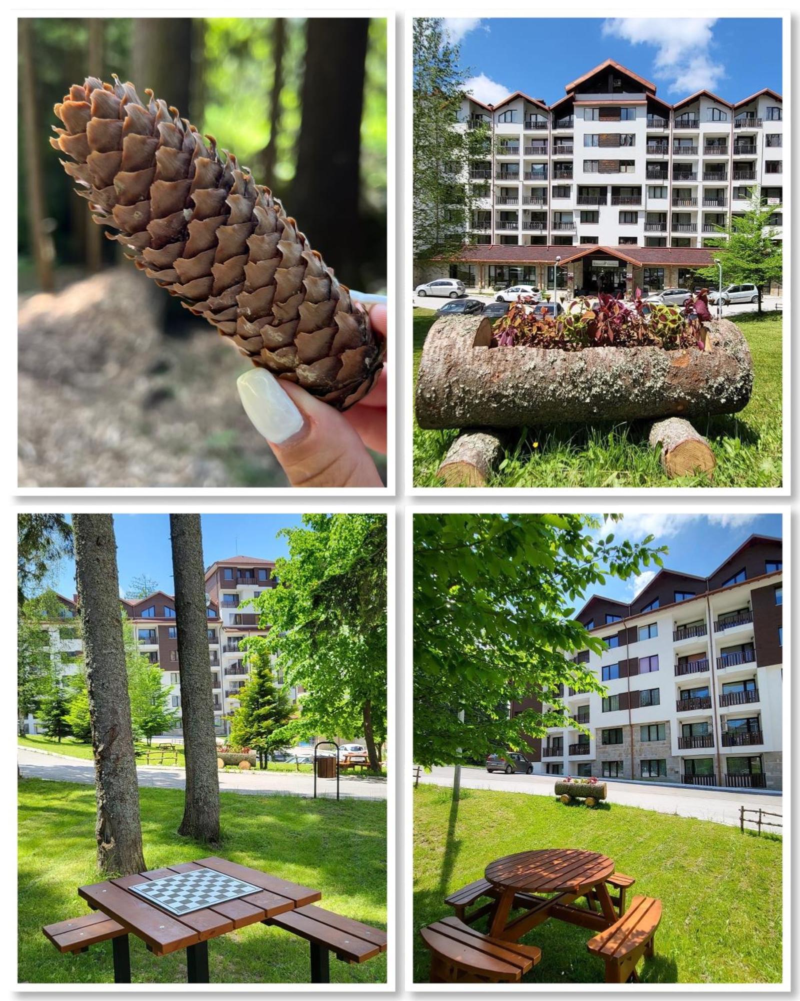 The Green Apartment Borowec Zewnętrze zdjęcie